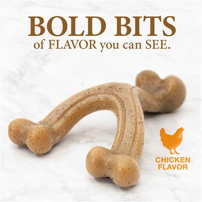 Nylabone Gourmet Style Strong Chew Wishbone Dog Toy Wishbone Chicken 1ea/Large/Giant (1 ct)
