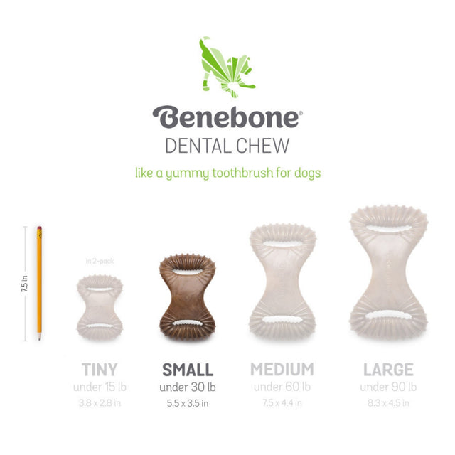 !Benebone Dental Chew Durable Dog Chew Toy Bacon, 1ea/SM