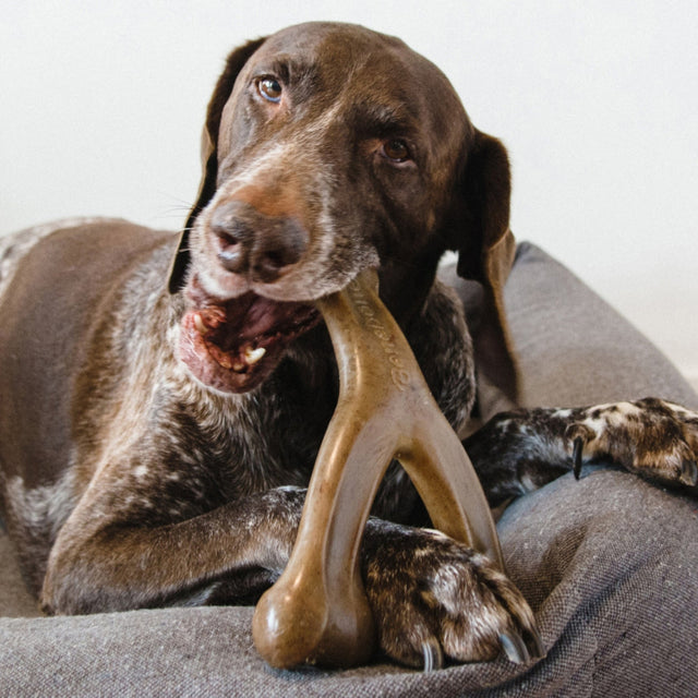 !Benebone Wishbone Durable Dog Chew Toy Bacon, 1ea/Giant